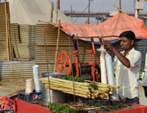pexels-rajesh-s-balouria-18295371